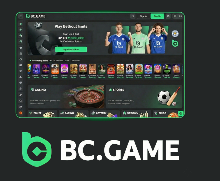 Exploring BC.Game Casino and Sportsbook Your Ultimate Gaming Experience