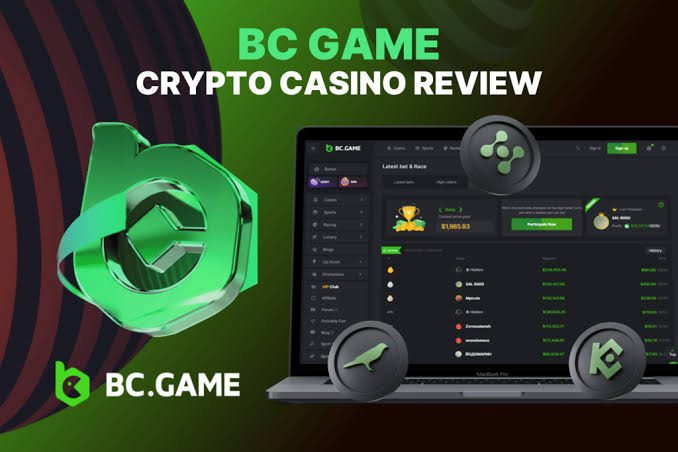 Understanding the BC.Game UAE Login Process